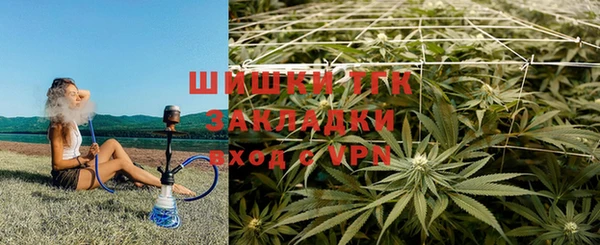 шишки Касимов