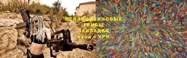 шишки Касимов