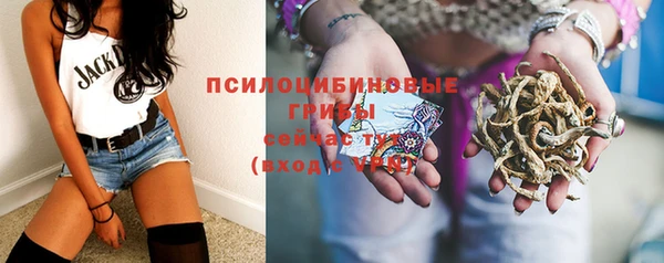 шишки Касимов