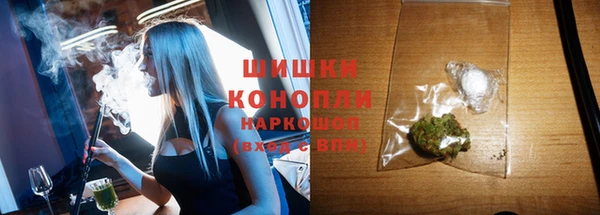 шишки Касимов